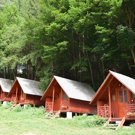 Cabanute Si Camping Dracula Capatineni-Paminteni Exterior photo